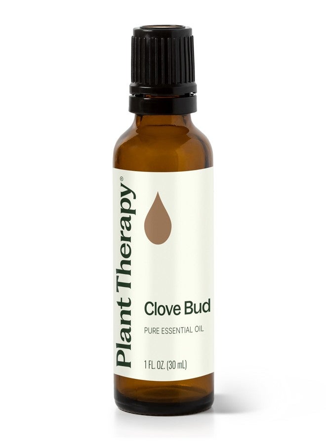 Plant Therapy Clove Bud Essential Oil 100% Pure, Undiluted, Natural Aromatherapy, Therapeutic Grade 30 ml (1 oz) - Image 1